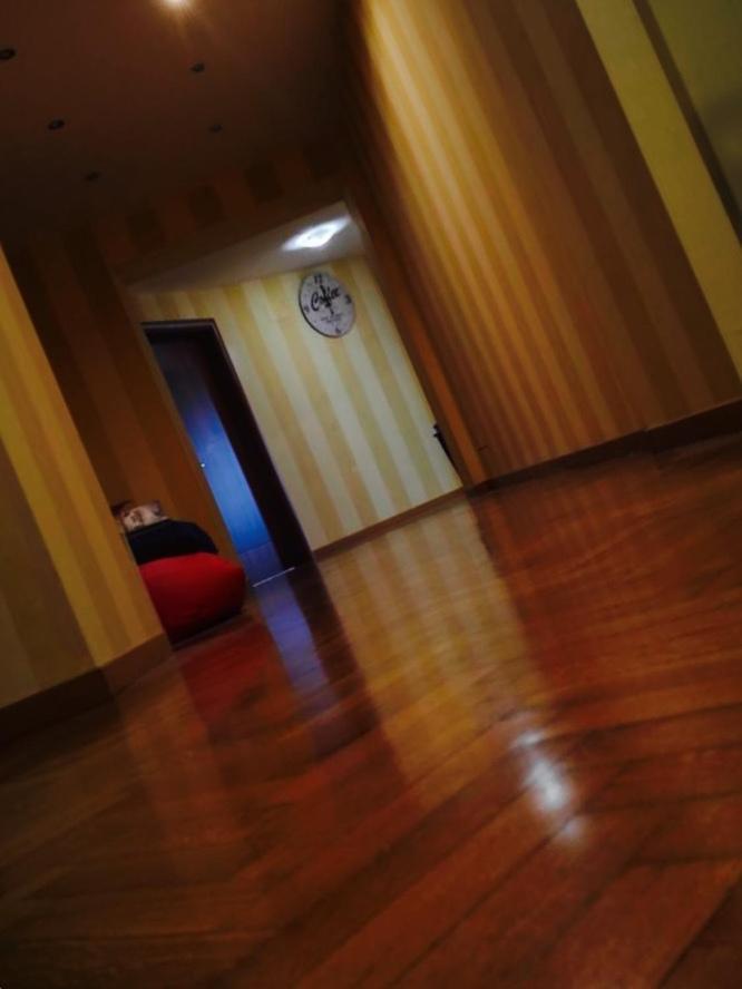 Bologna Center Town Bed and Breakfast Εξωτερικό φωτογραφία